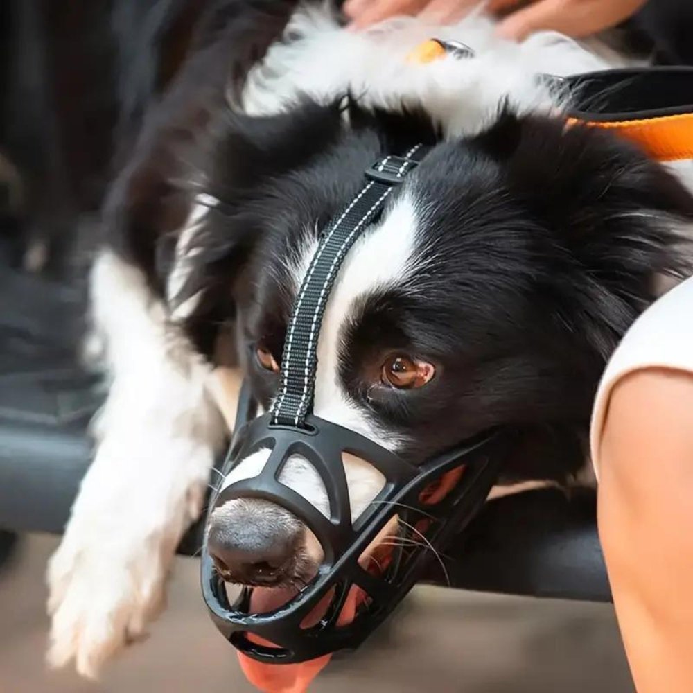 GentlePaws Kutya Szájkosár Pro a Mindennapi Biztonságos Kezeléshez