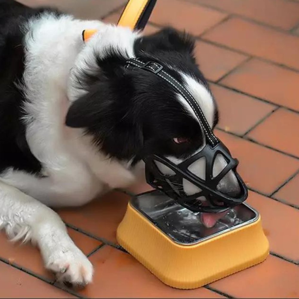GentlePaws Kutya Szájkosár Pro a Mindennapi Biztonságos Kezeléshez