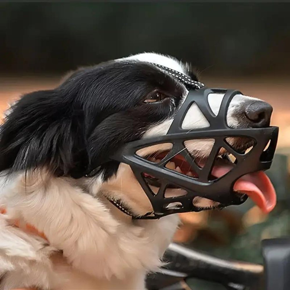 GentlePaws Kutya Szájkosár Pro a Mindennapi Biztonságos Kezeléshez