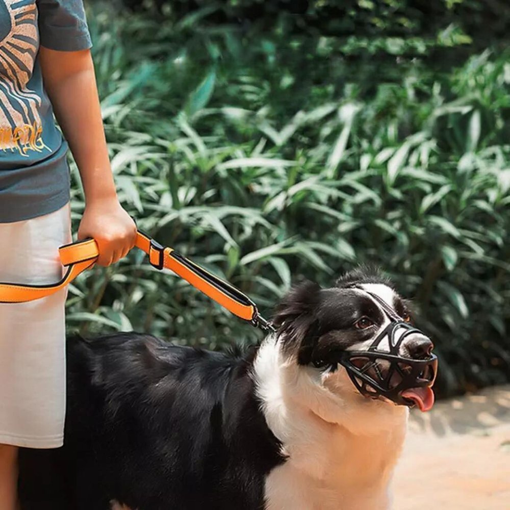 GentlePaws Kutya Szájkosár Pro a Mindennapi Biztonságos Kezeléshez