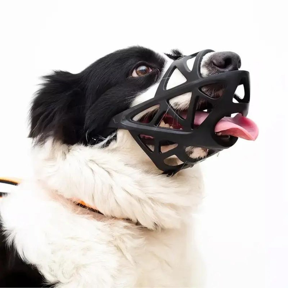 GentlePaws Kutya Szájkosár Pro a Mindennapi Biztonságos Kezeléshez