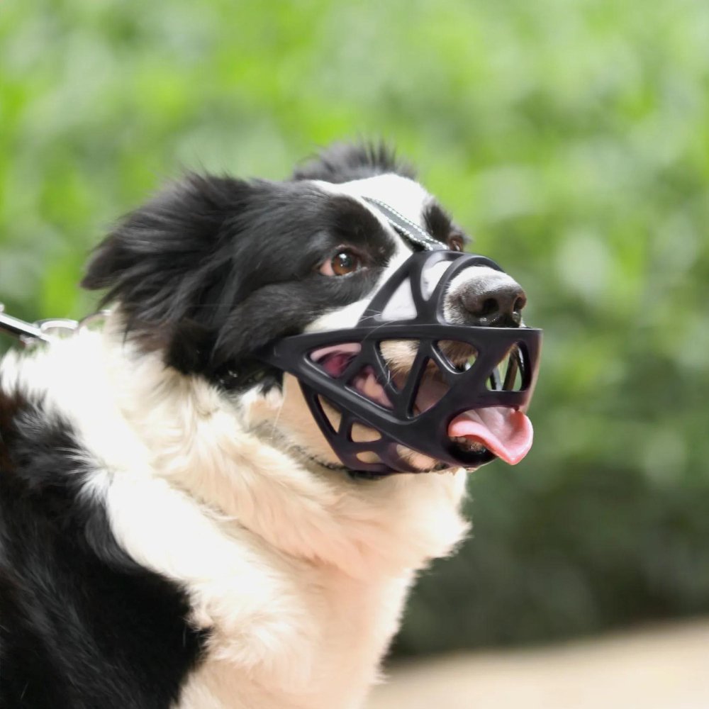 GentlePaws Kutya Szájkosár Pro a Mindennapi Biztonságos Kezeléshez