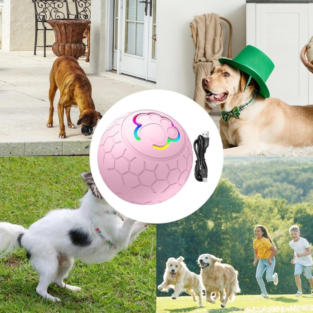 NovaBounce Hundespielzeugball für neugierige Hunde und Spielzeit