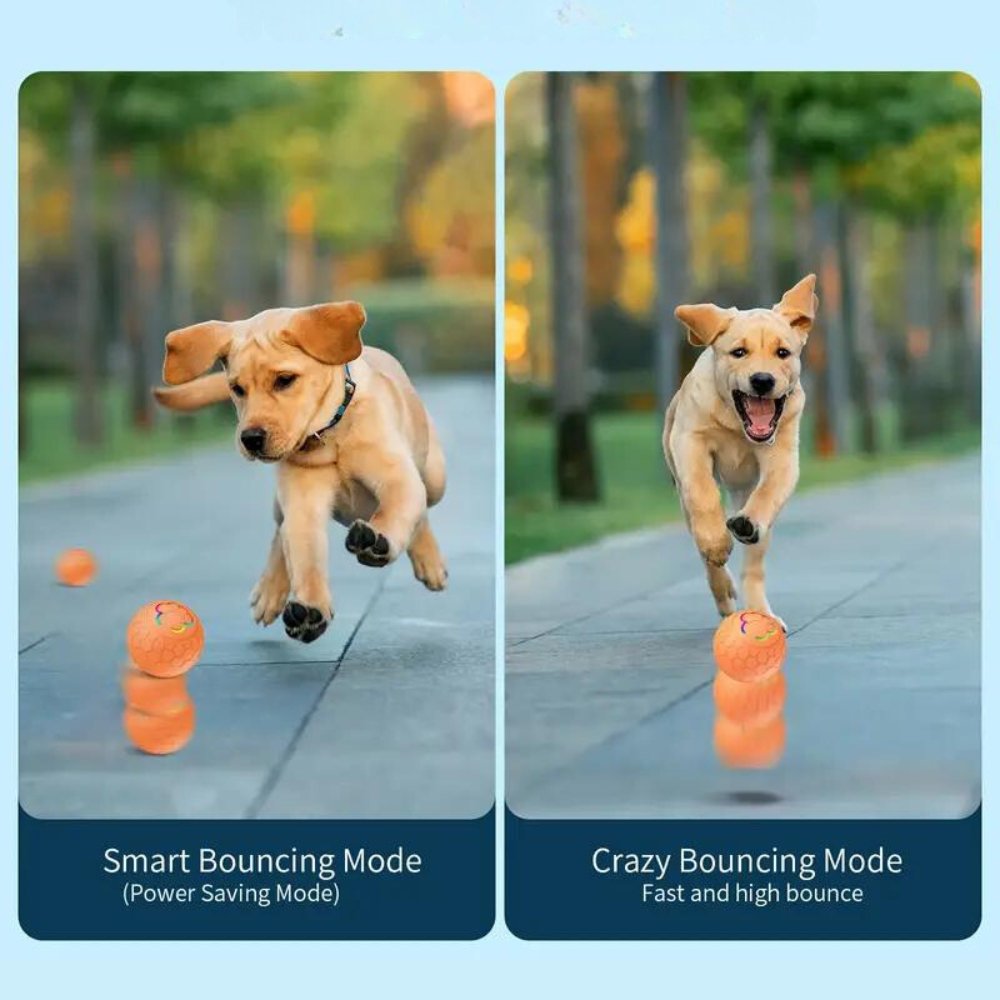 NovaBounce Hundespielzeugball für neugierige Hunde und Spielzeit