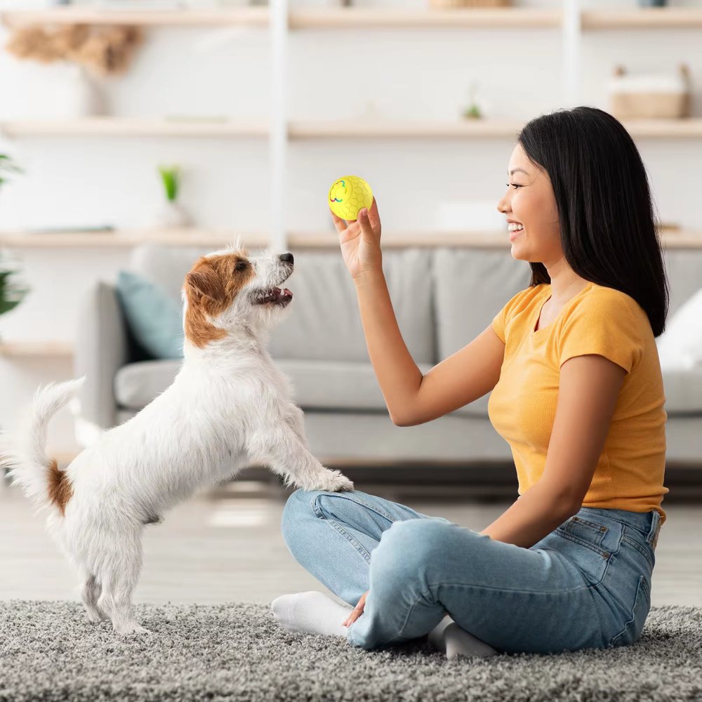 NovaBounce Hundespielzeugball für neugierige Hunde und Spielzeit