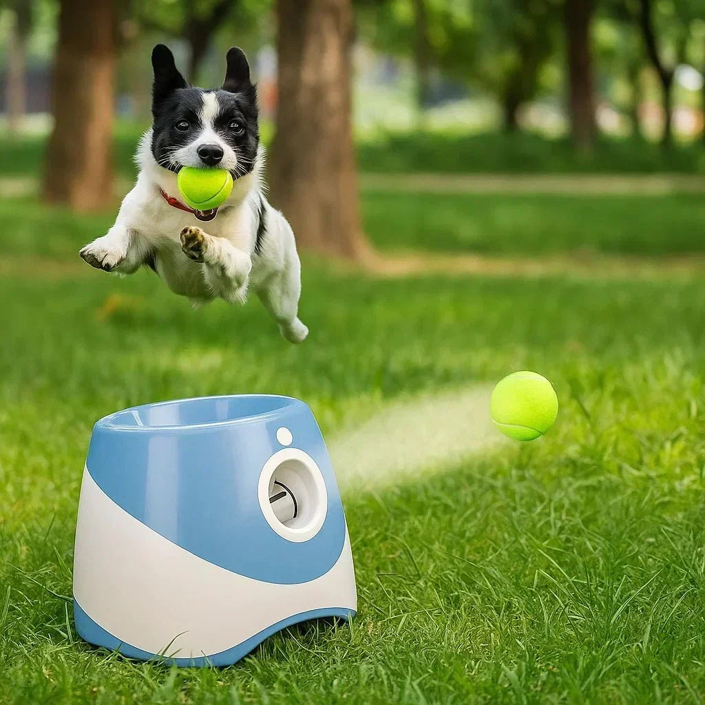 PawPulse automatischer Ballwerfer für Hunde – wiederaufladbares USB-Spielzeug mit einstellbarer Wurfweite