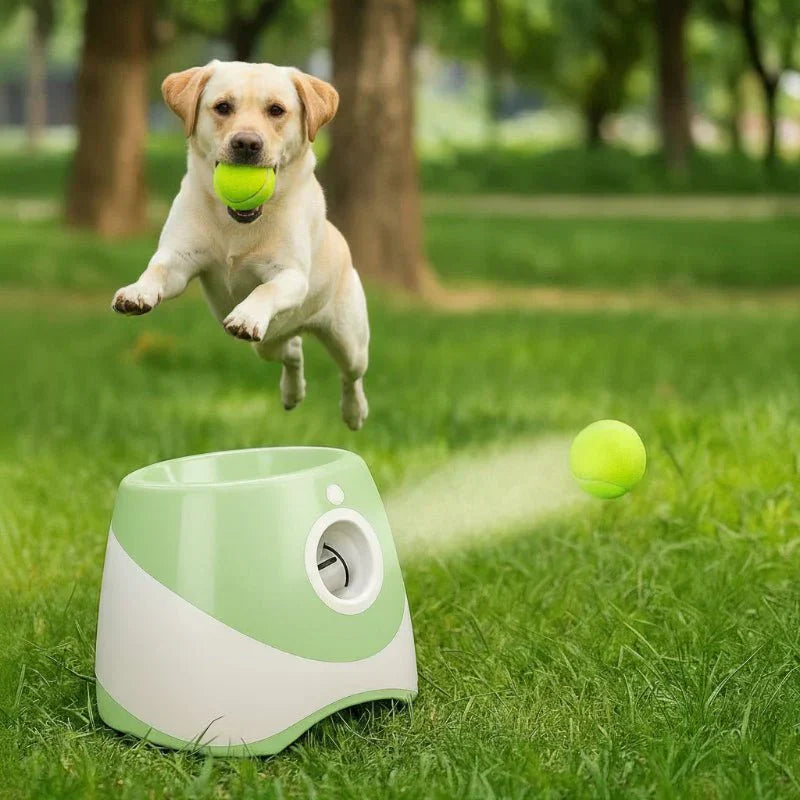 PawPulse automatischer Ballwerfer für Hunde – wiederaufladbares USB-Spielzeug mit einstellbarer Wurfweite