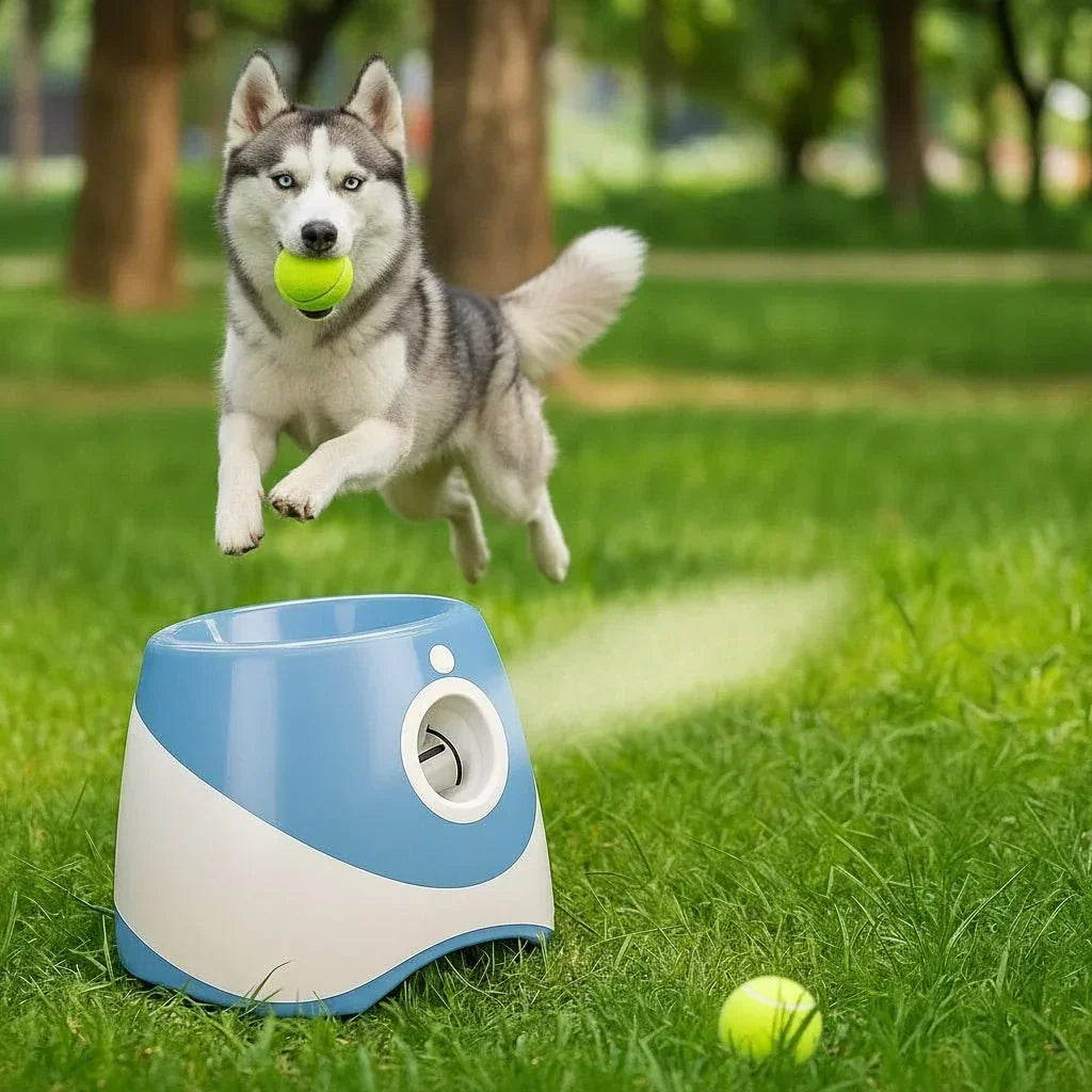 PawPulse automatischer Ballwerfer für Hunde – wiederaufladbares USB-Spielzeug mit einstellbarer Wurfweite