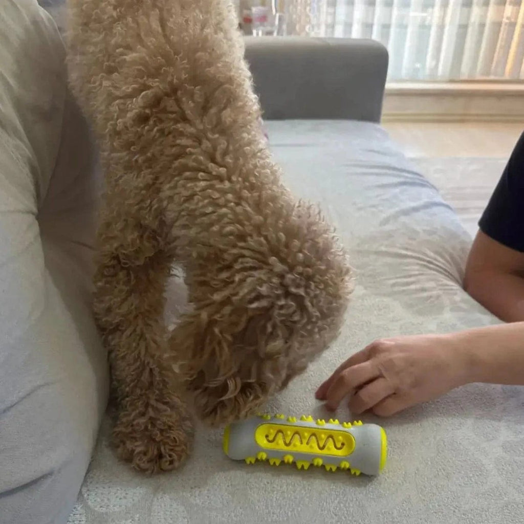 CalmPaws Das ultimative Beruhigungsspielzeug für ängstliche Hunde