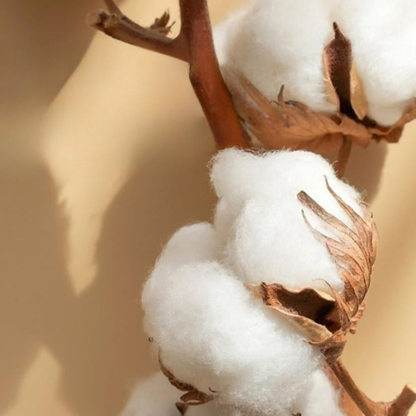 Ensemble de literie brodée en coton satiné, de luxe 4 pièces, modèle A1